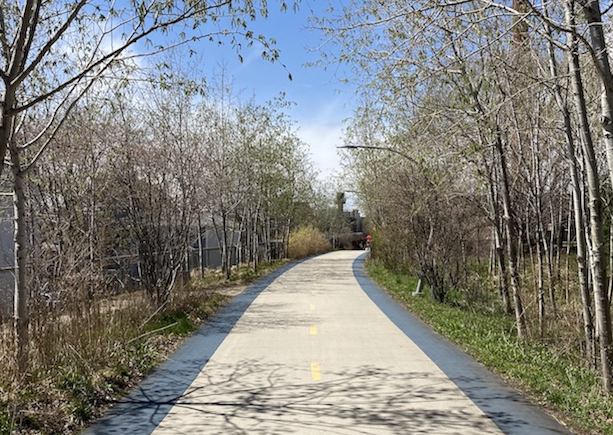 A portion of the 606 Trail with trees