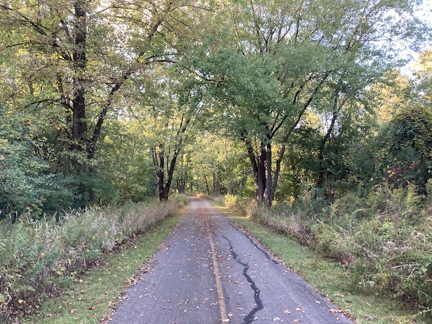 a portion of the Busse Woods trail