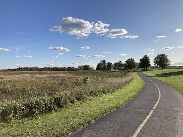 a portion of the Busse Woods trail