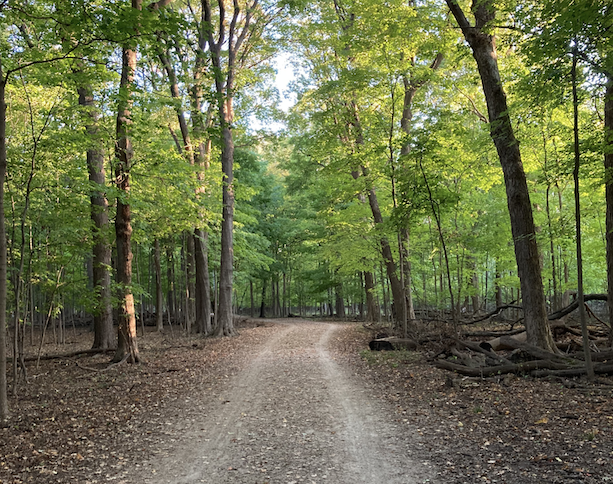 Des Plaines River Trail during Fall