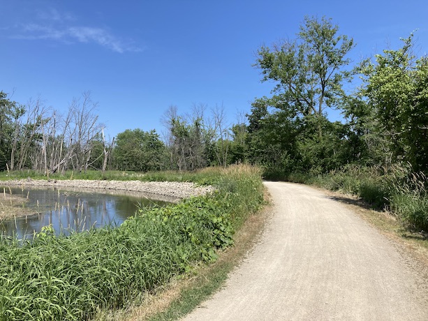 Trail next to DP river