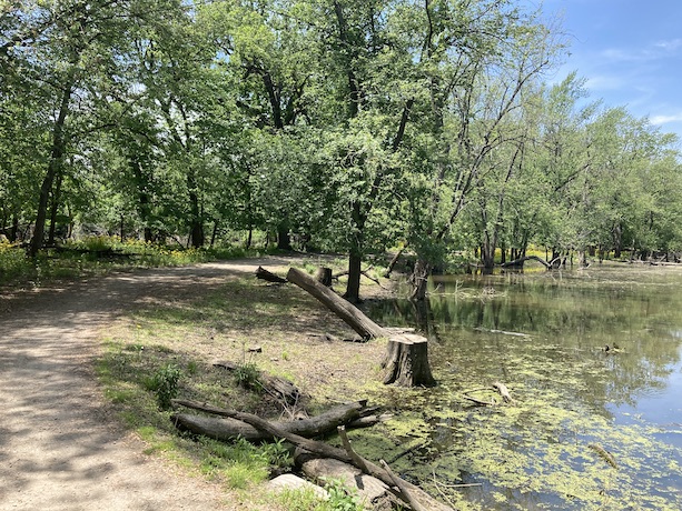 trail along water