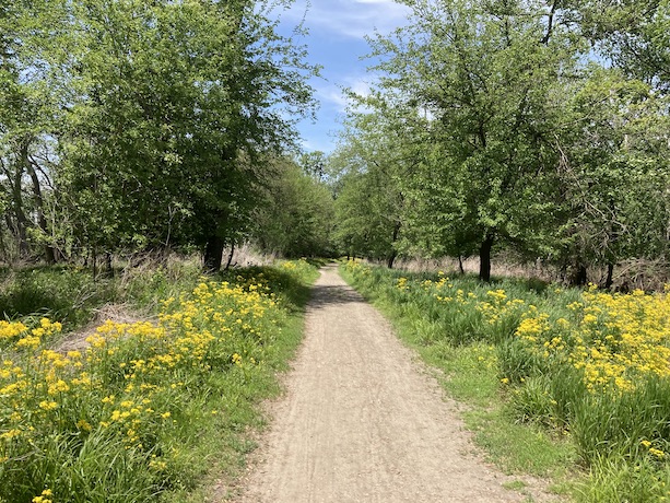 trail with flowers