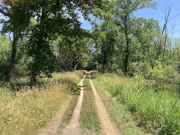 Trail with grass