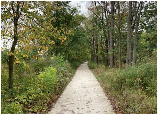 A stretch of the Green Bay Trail with crushed stone near the northern end of the trail