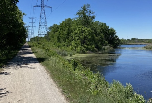 A lake beside the Illinois Prairie Path