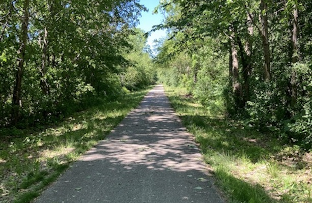 A portion of the Illinois Prairie Path near Elgin