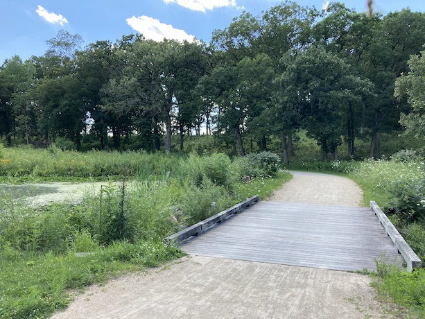 Millennium trail image with bridge