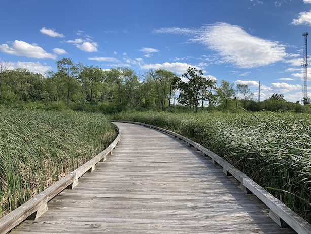 Trail in Grayslake, IL