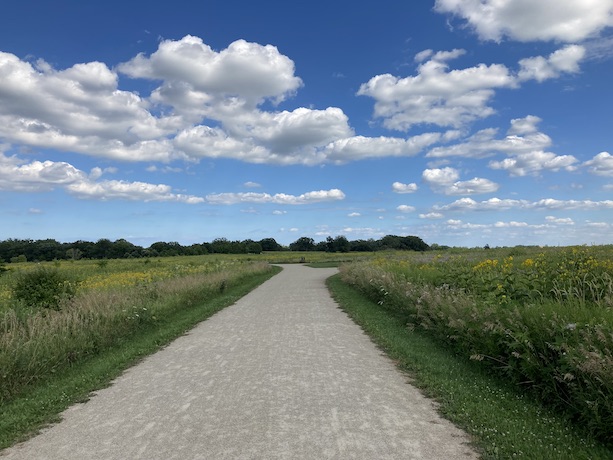 Trail in the Rollins Savanna Forest Preserve near Grayslake, IL