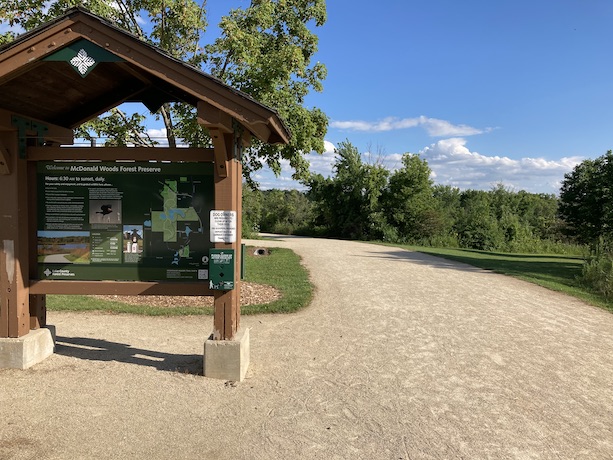 Near the northern end of the trail in the McDonald Woods