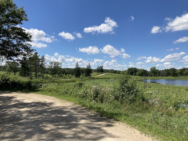 Trail next to Schreiber Lake in Lakewood Forest Preserve