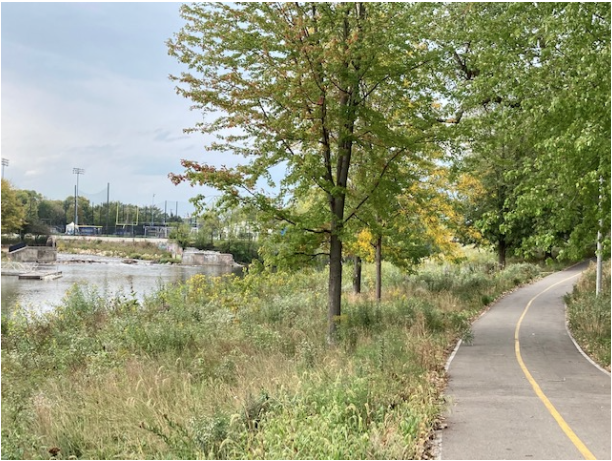 the trail along a fork in the north branch of the Chicago river