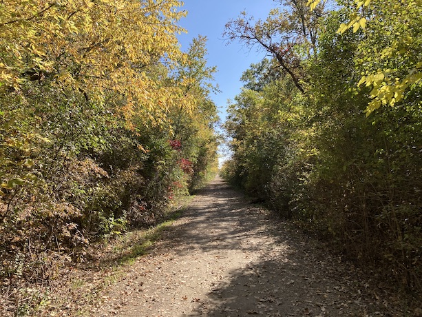 Near Genoa City, WI near the northen end of the trail