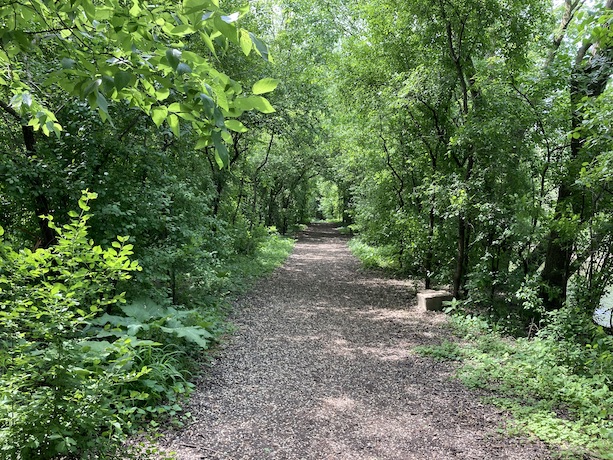 wood chip section of trail