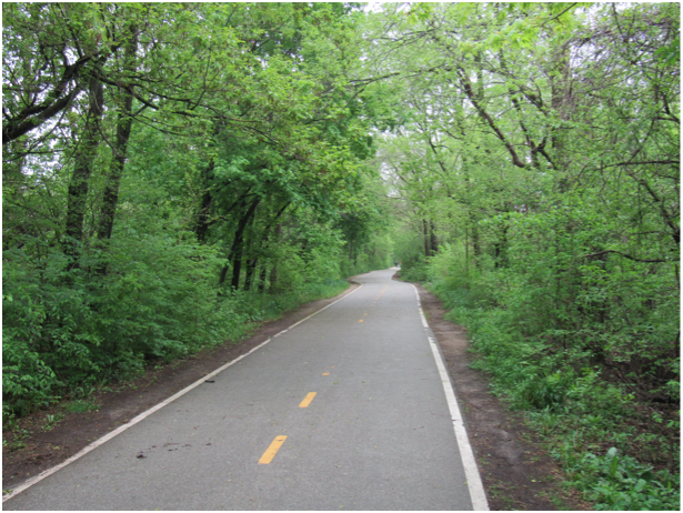 A portion of the Skokie Valley Trail with abundant trees