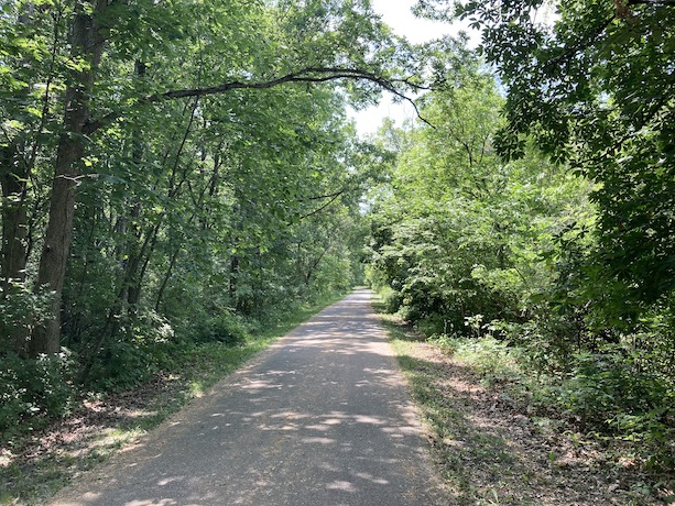 The Thorn Creek Trail in the Brownell Woods