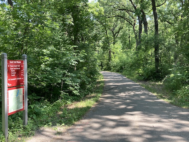 The trail in the Sauk Trail Woods