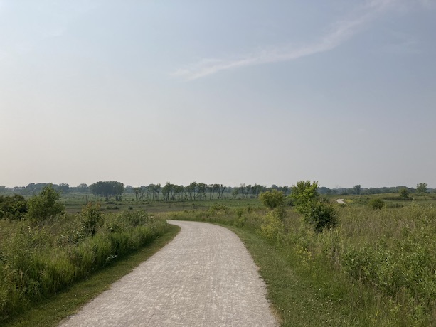 The West Branch Forest Preserve in West Chicago, IL