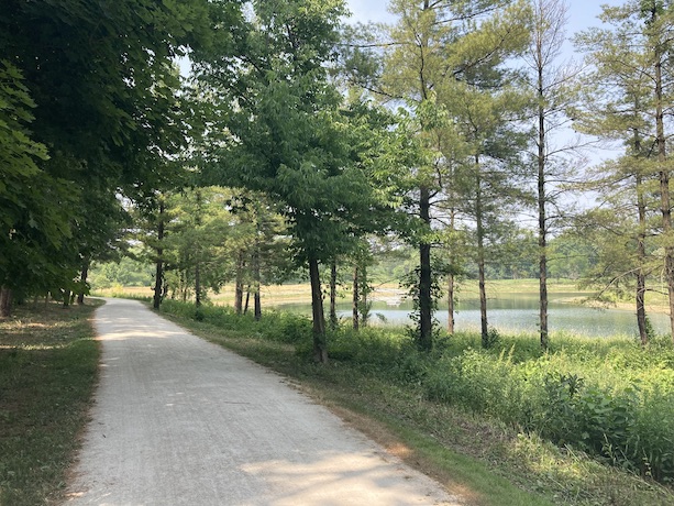 In the Blackwell Forest Preserve