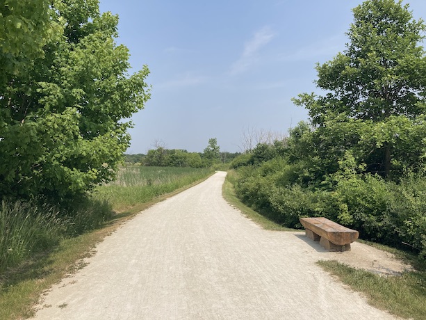 On the Blackwell Forest Preserve trail loop