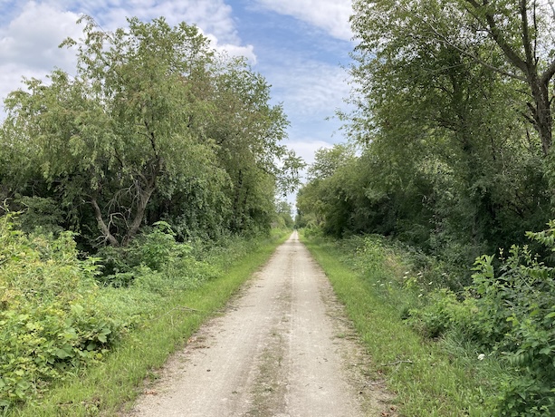 Wauponsee Glacial Trail